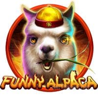 Funny Alpaca